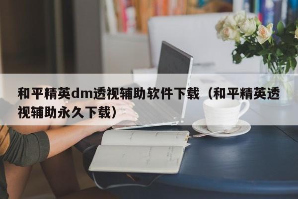 和平精英dm透视辅助软件下载（和平精英透视辅助永久下载）