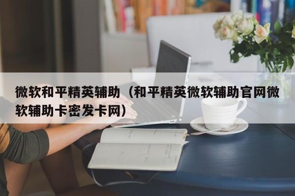 微软和平精英辅助（和平精英微软辅助官网微软辅助卡密发卡网）