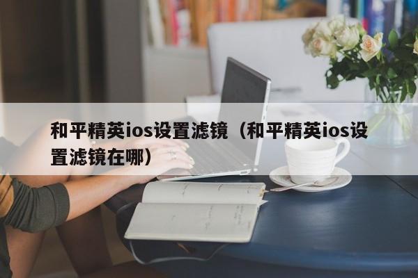 和平精英ios设置滤镜（和平精英ios设置滤镜在哪）