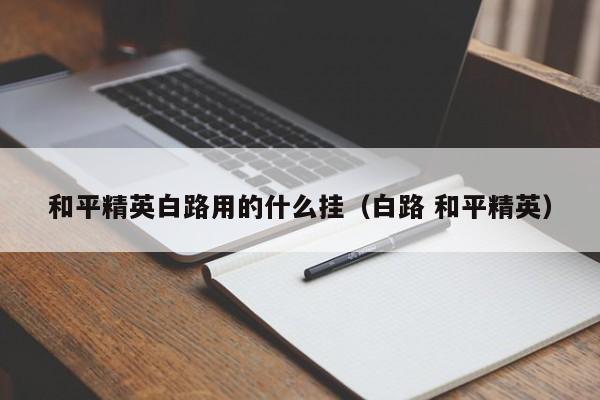 和平精英白路用的什么挂（白路 和平精英）