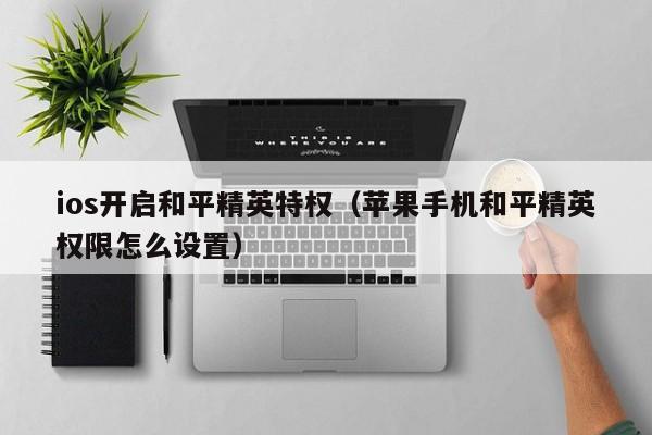 ios开启和平精英特权（苹果手机和平精英权限怎么设置）